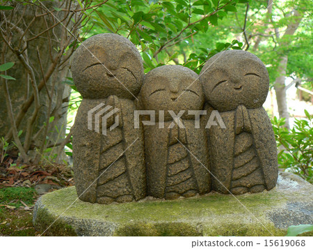 親愛的大分先生 15619068