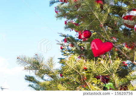 Heart shape ornament in a Christmas tree Heart shape ornament in a Christmas tree 15620756