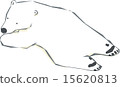 Lying polar bear 15620813