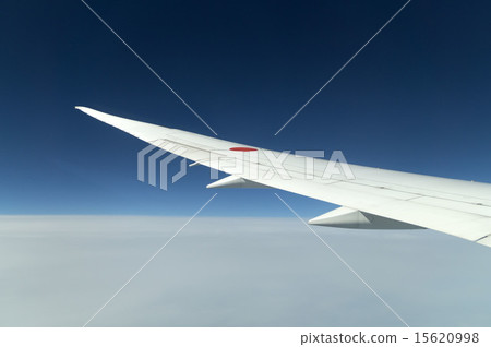 Wings that shine in the blue sky Wings that shine in the blue sky 15620998