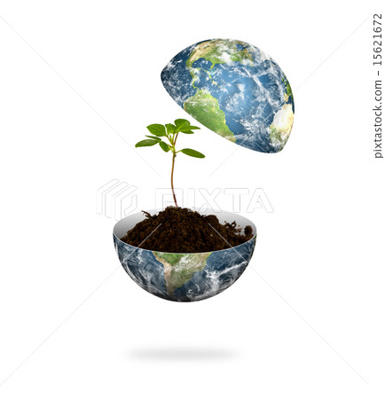 Young plant in earth isolated on white Young plant in earth isolated on white 15621672