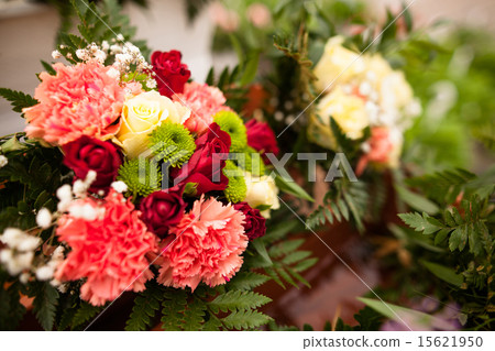 Beautiful flowers 15621950