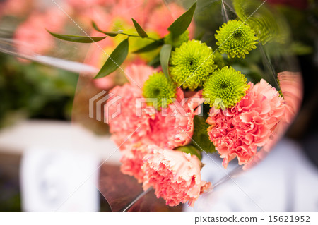 Beautiful flowers Beautiful flowers 15621952