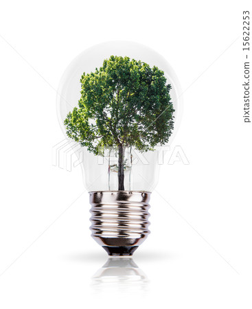Eco concept: green tree growing in a bulb. Eco concept: green tree growing in a bulb. 15622253
