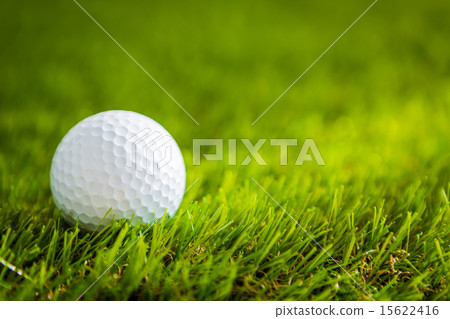 Golf ball on green grass Golf ball on green grass 15622416
