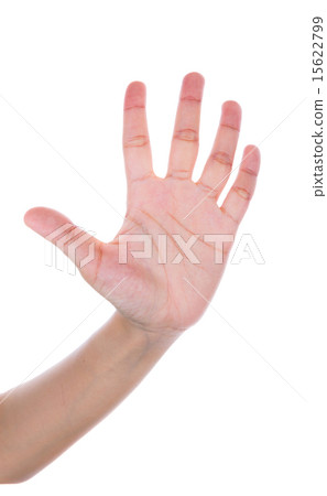 Human Hand Isolated On White Background Human Hand Isolated On White Background 15622799