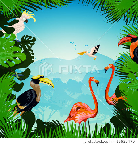 Tropical Forest Background 15623479