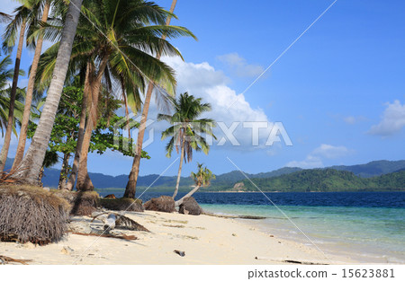 Tropical white sand beach Tropical white sand beach 15623881