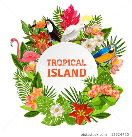 Tropical birs and flowers  15624760