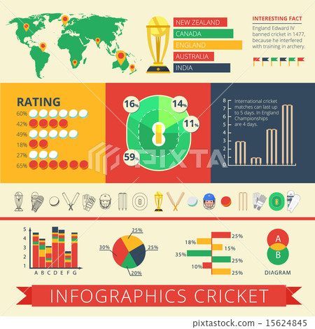 Infographics report cricket poster  15624845