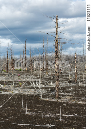 Lifeless desert landscape of Kamchatka 15625553