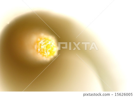 顏色雌蕊 顏色雌蕊 15626005