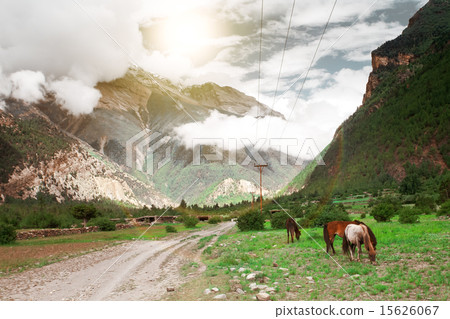 Trekking in Nepal Trekking in Nepal 15626067
