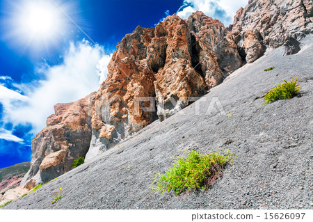 Trekking in Nepal 15626097