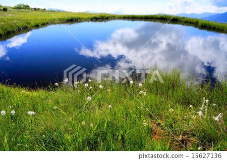 Naeba-san Mountain top wetland of Lake Tung 15627136