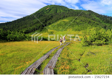 金口卡盛開的濕地和尾瀨/日岳 15627234