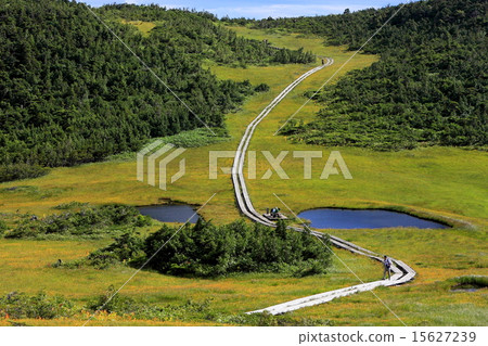 Mountaineering person going down a tree road of the back lining · Kumazawa Tashiro 15627239