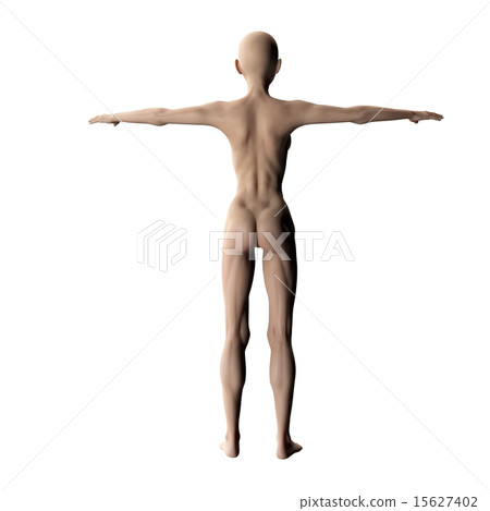 Muscle specimen behind perming 3DCG illustration material 15627402