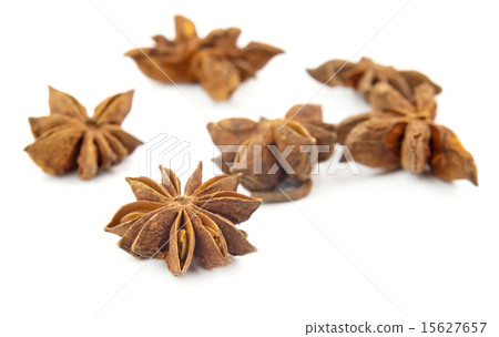 anise anise 15627657