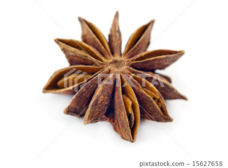 anise anise 15627658