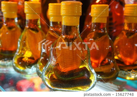 Hub清酒小吃酒 15627748