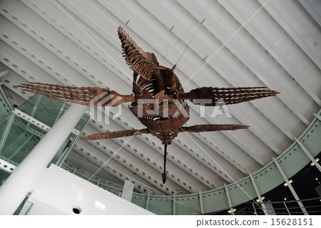 Presciosaurus骨架 Presciosaurus骨架 15628151