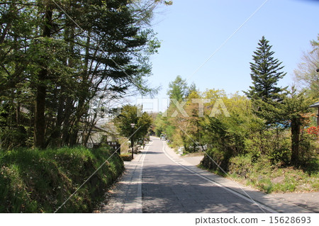 信濃老老Nakasendo 15628693