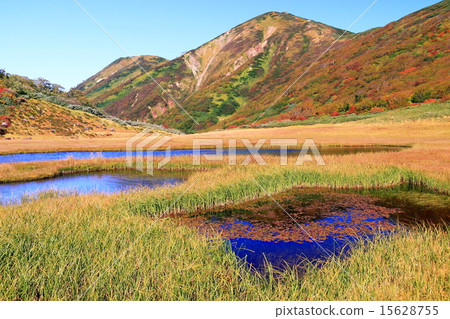 Tangu花園的Ikuto和Mt. 15628755