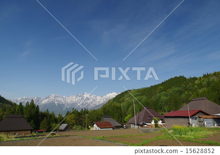 Shinshu Hakuba village blue ogre (in the blue) Spring of the settlement, looking for the northern alps of the snowfall Shinshu Hakuba village blue ogre (in the blue) Spring of the settlement, looking for the northern alps of the snowfall 15628852
