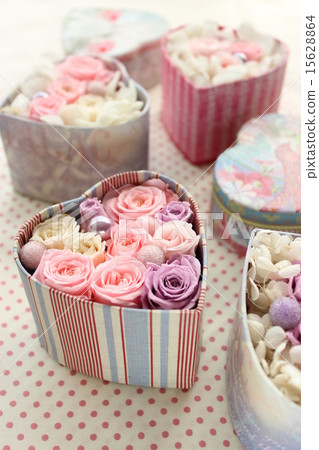 心形的安排 15628864