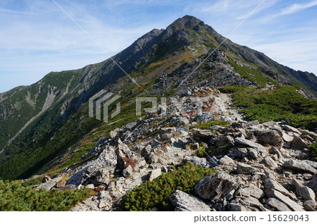 Kita-dake南阿爾卑斯山攀登 15629043
