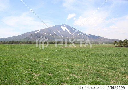 Kita Karuizawa Asama Farm 15629399