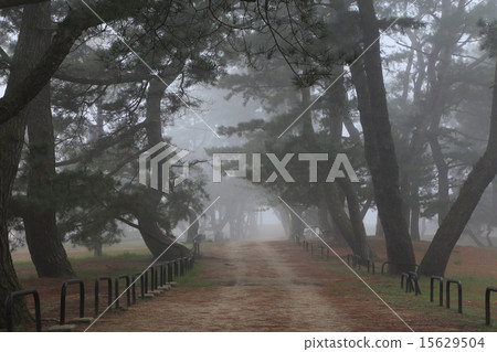 Kanonji市有明海灘覆蓋著濃霧Kanonpo公園“Kanonji寺廟Matsubara Kanonji市有明海灘覆蓋著濃霧Kanonpo公園“Kanonji寺廟Matsubara 15629504