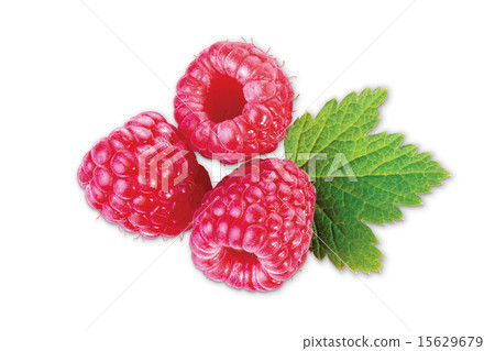 raspberry 15629679