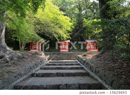 "Kibitsu Shrine" Sanjutsu Palace (Kasuga Palace, Ogasinomiya, Hachimangu Shrine) (along the corridor) 15629843