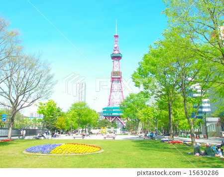 札幌大道公園和電視塔 15630286