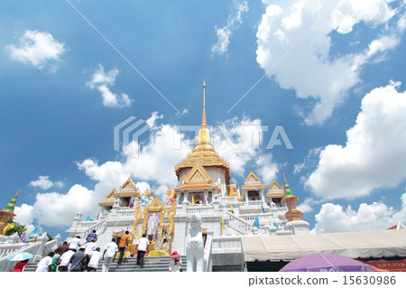 Watt Trimit 15630986