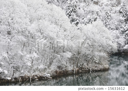 Snow lakeside 15631612