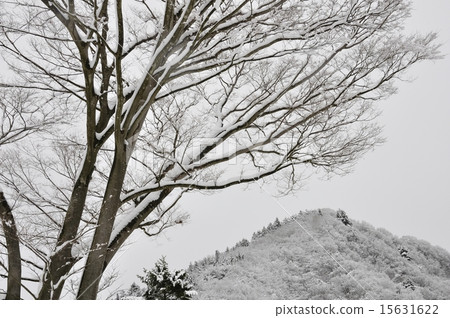 Snowy landscape Miyagase Lake Snowy landscape Miyagase Lake 15631622