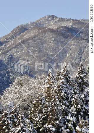 Honma沒有製作雪化妝的頭 15631656