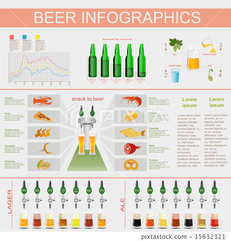 Beer snack  infographics 15632321