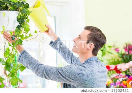 Florist working in flower shop watering plants 15632431