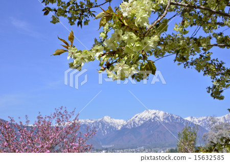 從大町，市民的森林 15632585