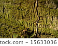 Characters engraved on the wall of the castle 15633036