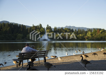 Stanley Park 15633192