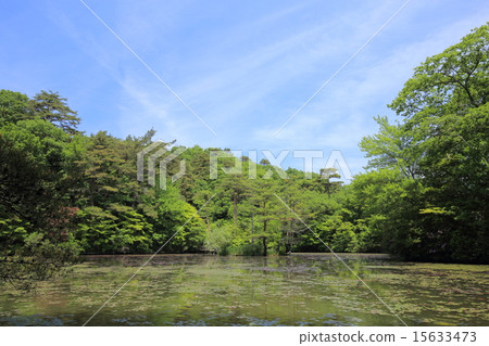Kobe City Forest Botanical Garden / Hase Vault Pond Kobe City Forest Botanical Garden / Hase Vault Pond 15633473
