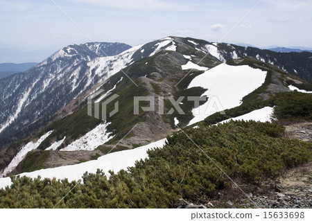 Butterfly Mountains of the Snowfall Butterfly Mountains of the Snowfall 15633698