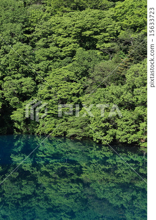 40,000 lakes of fresh green 40,000 lakes of fresh green 15633723