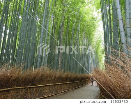  Bamboo grove 15633780
