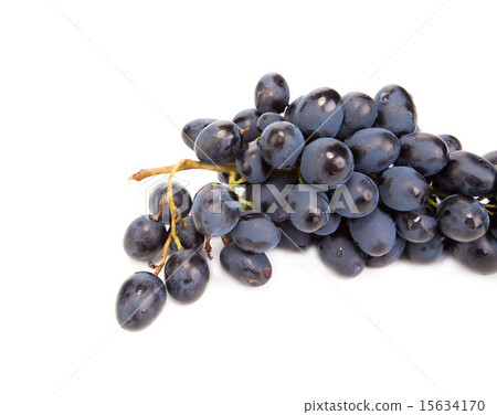 Branch of black ripe grapes. Branch of black ripe grapes. 15634170